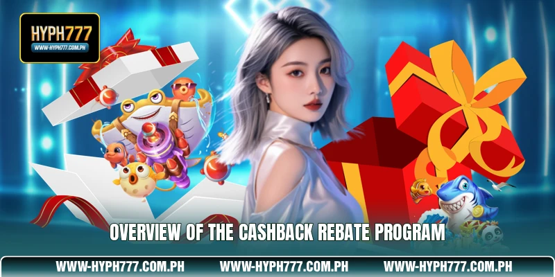 Overview of the Cashback Rebate Program